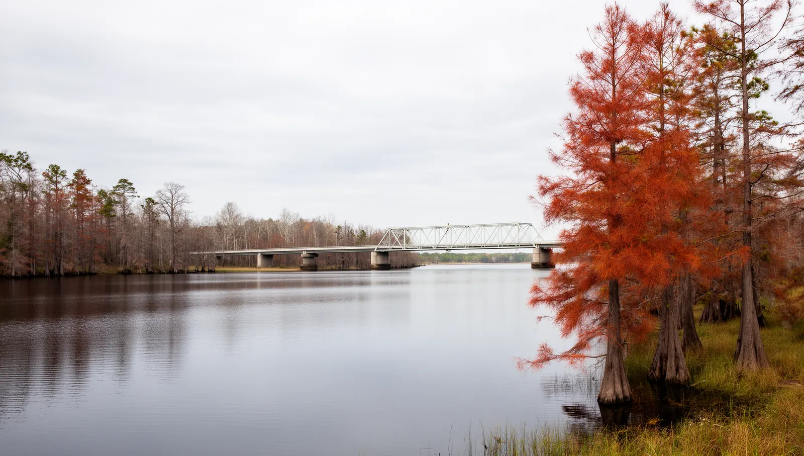 The Perquimans River at Hertford, North Carolina